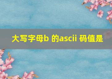 大写字母b 的ascii 码值是